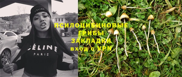 ПСИЛОЦИБИНОВЫЕ ГРИБЫ Горняк