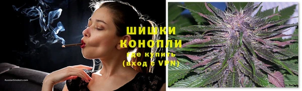 дмт Горнозаводск