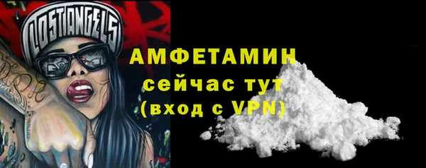 ПСИЛОЦИБИНОВЫЕ ГРИБЫ Горняк
