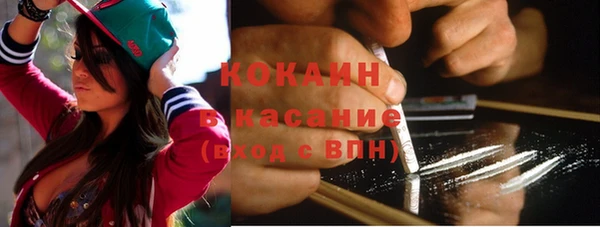 ПСИЛОЦИБИНОВЫЕ ГРИБЫ Горняк