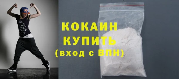 ПСИЛОЦИБИНОВЫЕ ГРИБЫ Горняк