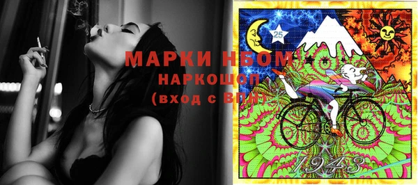 ПСИЛОЦИБИНОВЫЕ ГРИБЫ Горняк