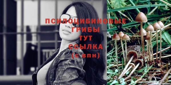 дмт Горнозаводск