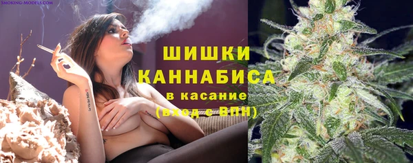 ПСИЛОЦИБИНОВЫЕ ГРИБЫ Горняк