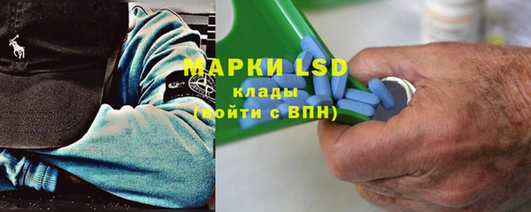 ПСИЛОЦИБИНОВЫЕ ГРИБЫ Горняк