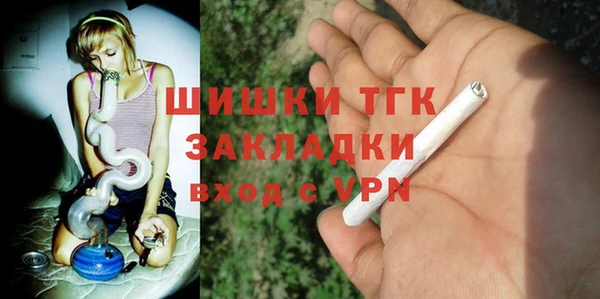 ПСИЛОЦИБИНОВЫЕ ГРИБЫ Горняк
