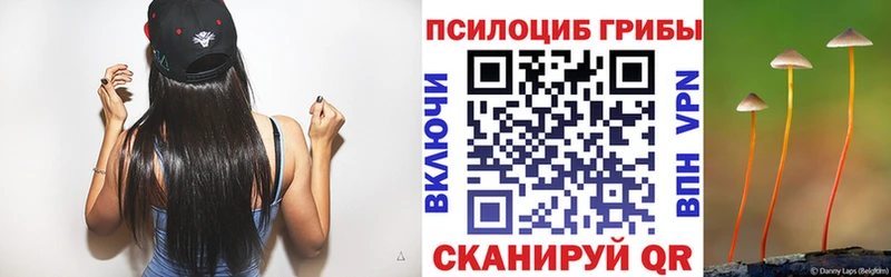 Псилоцибиновые грибы прущие грибы  сайты даркнета как зайти  Гусь-Хрустальный 